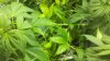 2011-11-22_15-19-52_737.jpg