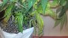 2011-11-22_15-08-26_680.jpg
