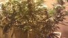 IMAG0388.jpg
