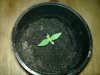 20111124_006.jpg