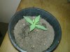 20111124_003.jpg