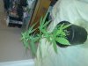 20111125_006.jpg 20111125_006.jpg