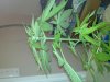 20111125_003.jpg 20111125_003.jpg