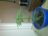 20111125_007.jpg 20111125_007.jpg
