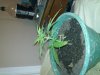 20111125_008.jpg 20111125_008.jpg