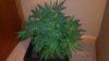 2011-11-26_19-14-15_831.jpg