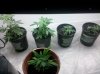 IMG_20111128_002303.jpg