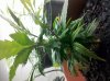 IMG_20111128_002749.jpg