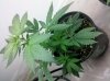IMG_20111128_002210.jpg