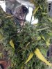 2011-11-28_10-43-26_791.jpg