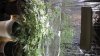 SDC14177.jpg