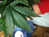 Grow #1 002.jpg