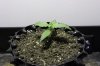 Under 400 HPS 11-13-2011 2-33-09 AM.jpg