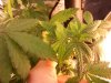 2011-11-30 06.19.43.jpg