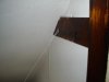 Picture Neighbor 007.jpg