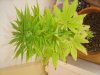 DSC02059.JPG