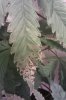IMAG0298.jpg