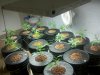 2011-12-02_18-35-52_205.jpg