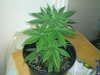 20111203_006.jpg
