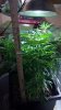 2011-12-02_21-35-15_914.jpg