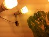 20111120_210429.jpg 20111120_210429.jpg