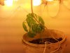 20111120_210418.jpg 20111120_210418.jpg