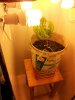 20111120_210511.jpg 20111120_210511.jpg