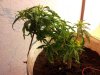 20111204_044659.jpg 20111204_044659.jpg
