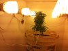 20111204_045532.jpg 20111204_045532.jpg
