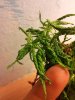 20111204_044915.jpg 20111204_044915.jpg