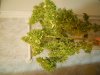 DSCN4506.jpg