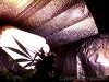 Snapshot_20111205_7.JPG