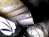 Snapshot_20111205_5.JPG