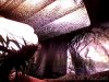 Snapshot_20111205_8.JPG