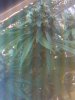 IMG_20111120_165652.jpg