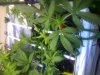 IMG-20111205-00064.jpg