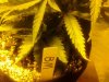IMG_20111206_030543.jpg