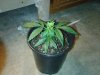2011-12-05 21.20.00.jpg