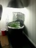IMG_20111206_094634.jpg