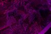12-7-2011-19.jpg