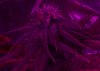 12-7-2011-17.jpg