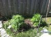 IMG_0800.jpg IMG_0800.jpg
