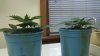 2011-12-04_10-55-50_18.jpg 2011-12-04_10-55-50_18.jpg