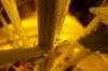 DSC00456.jpg
