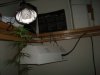 DSC01871.JPG