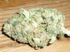 Pineapple Express (3).JPG