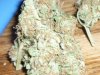Pineapple Express (5).JPG