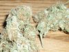Pineapple Express (6).JPG