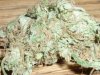 Pineapple Express (7).JPG