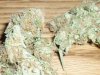Pineapple Express (9).JPG